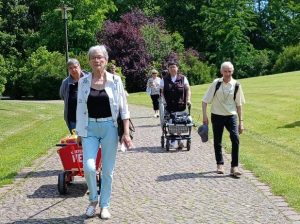 Eine Gruppe älterer Menschen geht auf einem gepflasterten Weg durch einen Park. Sie schieben Bollerwagen und genießen die Natur.