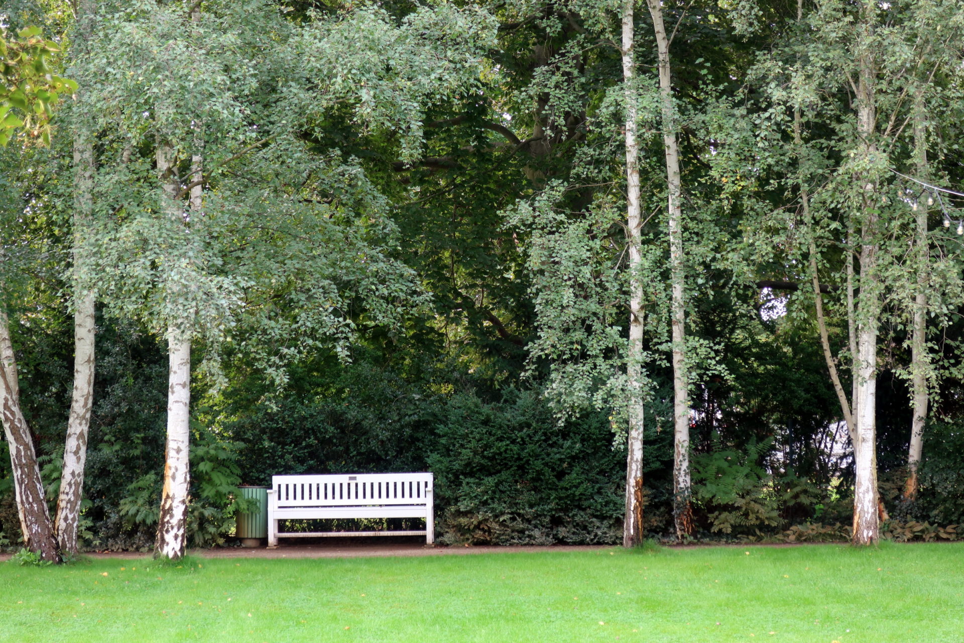 Weiße Parkbank vor einer Hecke unter Birken im Garten der Liebermann-Villa