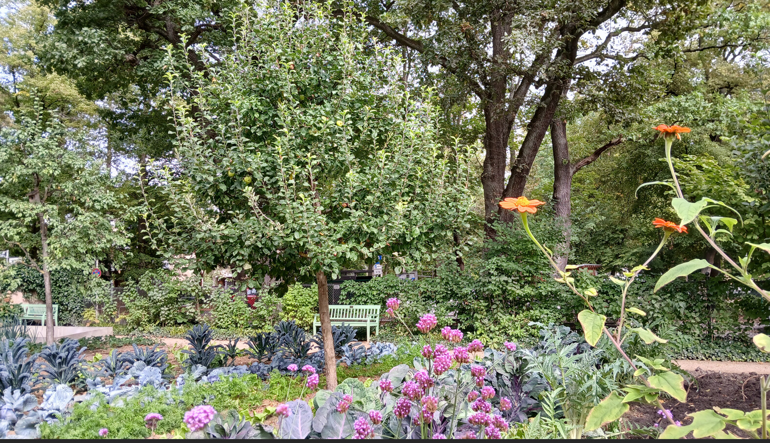 Blumengarten mit Stauden- und Gemüsebeeten, grüner Bank und Obstbaum