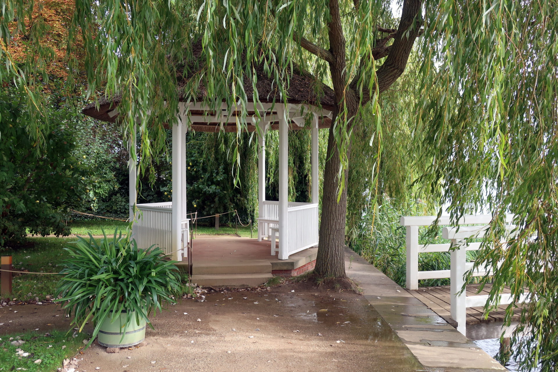Weißer Gartenpavillon unter einer großen Trauerweide